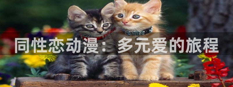 虫虫漫画精选大全：同性恋动漫：多元爱的旅程配图