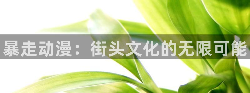 虫虫漫画免费观看在线：暴走动漫：街头文化的无限可能配图