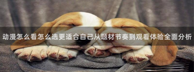 虫虫漫画大全中文：动漫怎么看怎么选更适合自己从题材节奏到观看体验全面分析配图