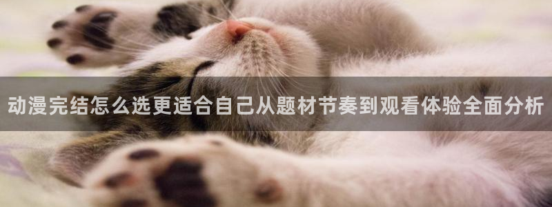 虫虫漫画大全高清：动漫完结怎么选更适合自己从题材节奏到观看体验全面分析配图