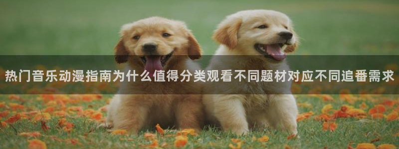 虫虫漫画人气:热门音乐动漫指南为什么值得分类观看不同题材对应不同追番需求配图