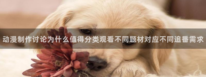 虫虫漫画官网：动漫制作讨论为什么值得分类观看不同题材对应不同追番需求配图